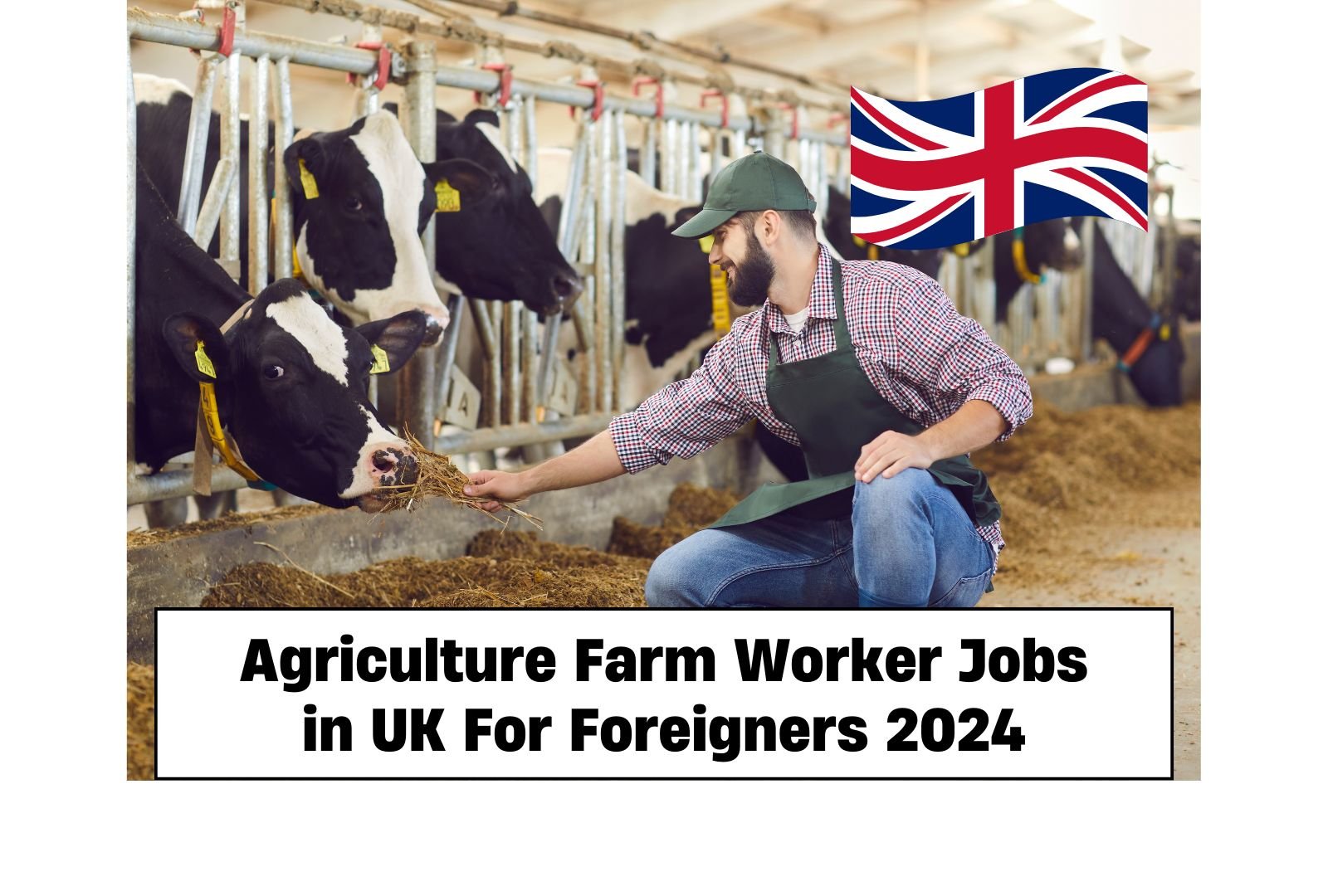 Agriculture Farm Worker Jobs in UK For Foreigners 2024 (£8.91 to £12 Hourly)