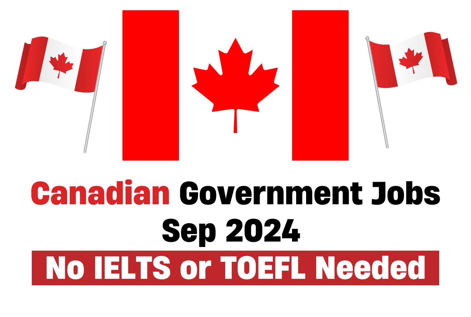 Apply for Canadian Government Jobs Sep 2024 – No IELTS or TOEFL Needed