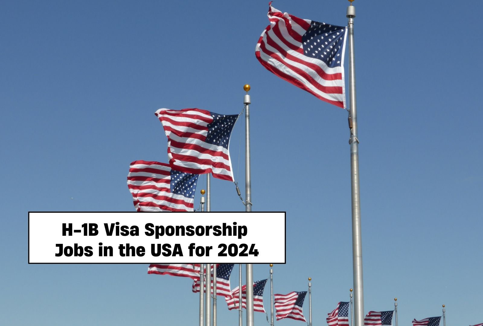 H-1B Visa Sponsorship Jobs in the USA for 2024