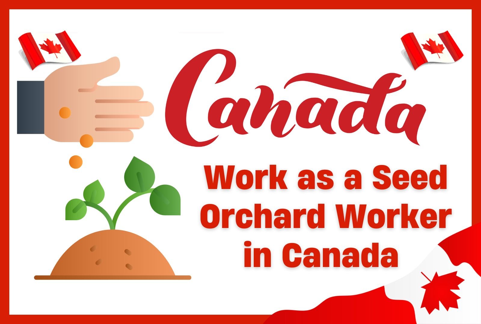 Apply for Seed Orchard Worker Jobs in Canada – Visa Sponsorship Available ($48K–$54K)